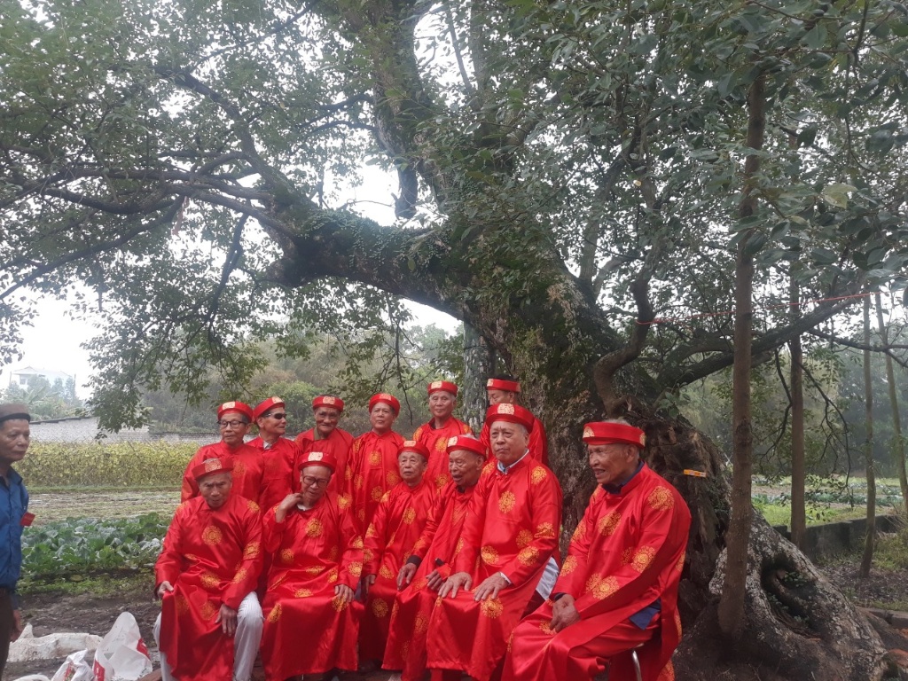 Thôn Sơn Quả 2 đón nhận cây Di sản Việt Nam (Cây Dã Hương)